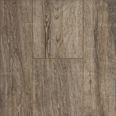 Toucan – Embossed In Register – TF6005 – 12.3mm Laminate Flooring